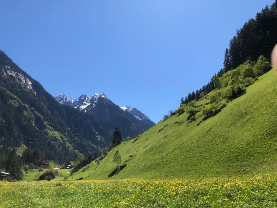 Ferienhaus Zillertal Panorama Blick Balkon Sauna Zellberg Eksteriør billede