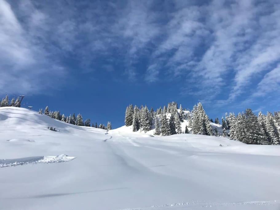 Ferienhaus Zillertal Panorama Blick Balkon Sauna Zellberg Eksteriør billede